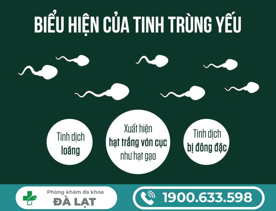 Hình ảnh minh họa
